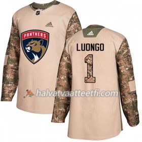 Miesten NHL Florida Panthers Pelipaita Roberto Luongo 1 Adidas 2017-2018 Camo Veterans Day Practice Authentic